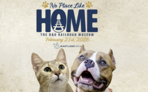 No Place Like Home Maryland SPCA, Maryland SPCA Gala 2026, B&O Railroad Museum event, Baltimore charity gala, Baltimore photo booth rental, Maryland photo booth rental, pet adoption fundraiser, animal rescue fundraiser event, dog and cat charity event Baltimore, corporate gala photo booth Baltimore, nonprofit event photo booth, event entertainment Baltimore MD, Picture This Parties MD, branded photo booth experience, custom backdrop photo booth, gala photo booth ideas, charity event activations, Baltimore event vendor, Maryland event rentals, pet themed event photo booth, social event photography Baltimore