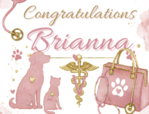 Veterinary school themed photo booth welcome screen for Brianna’s going away party featuring pink pet and medical graphics.